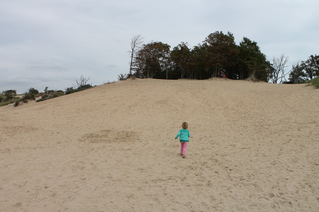 Kennemerduinen