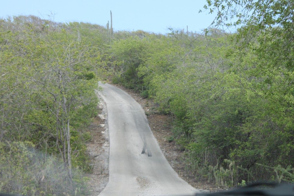 Curacao bezienswaardigheden Christoffelpark