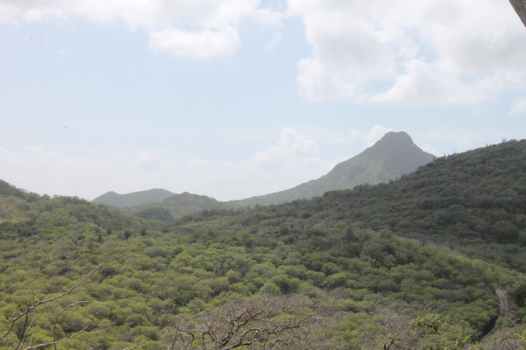 Curacao bezienswaardigheden Christoffelpark