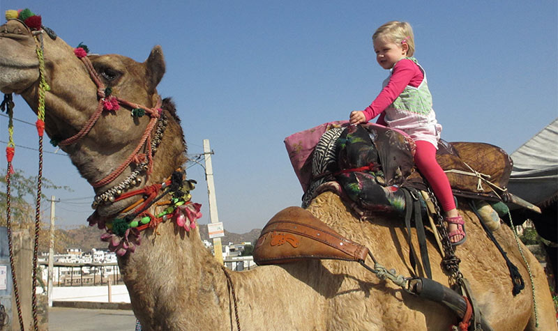 kamelen-safari-met-kinderen