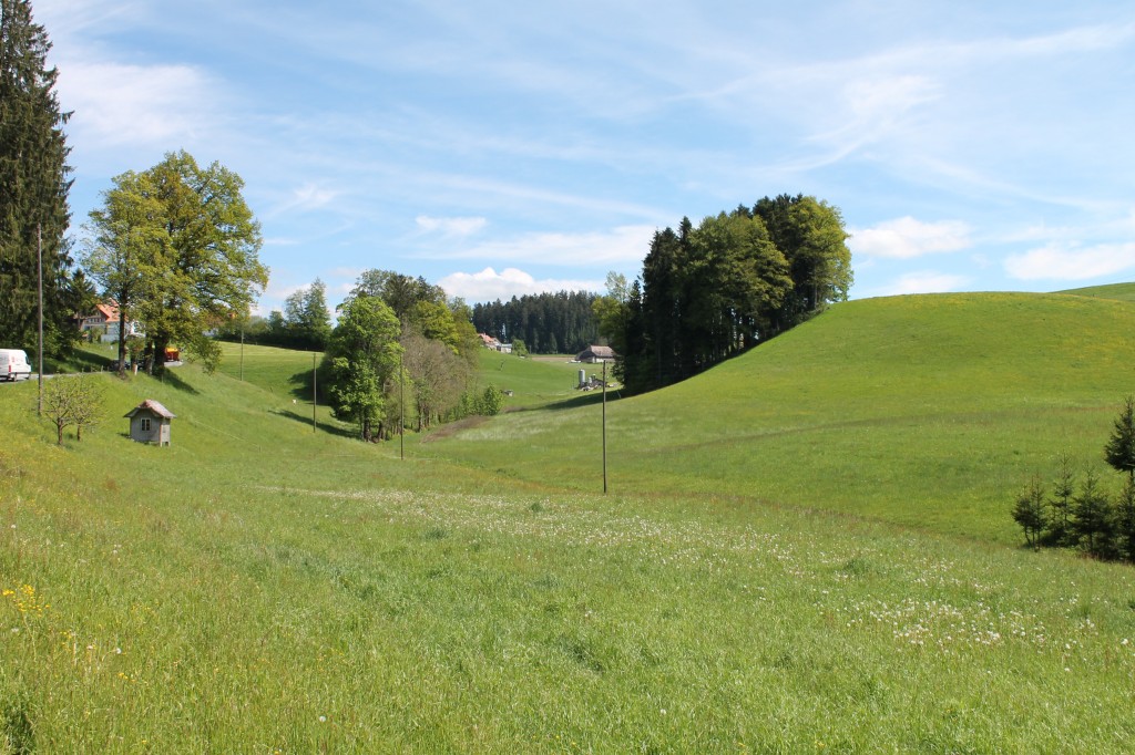 Emmental