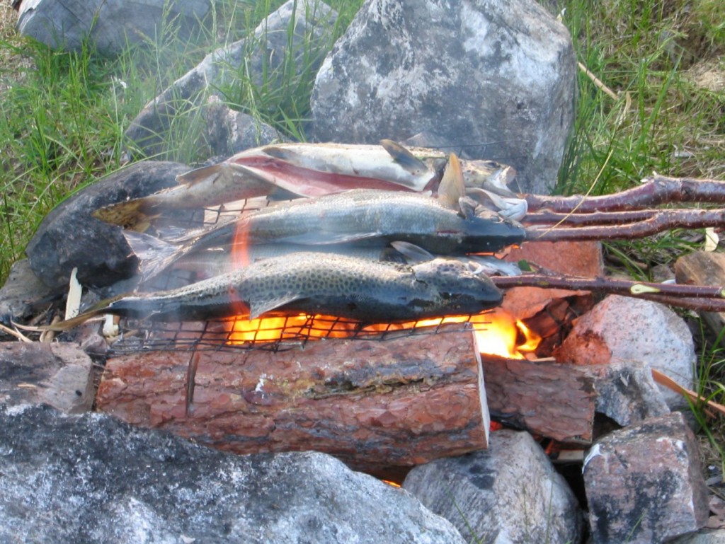 vis-op-grill