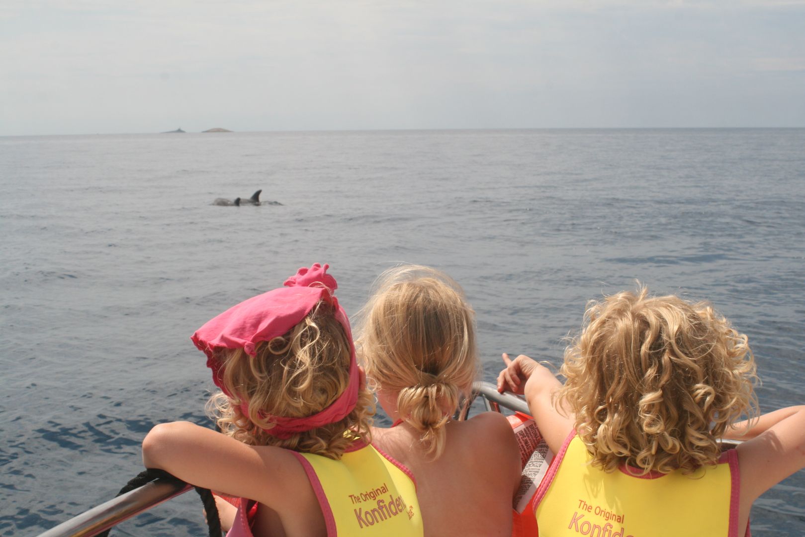 Dolfijnen Kroatië