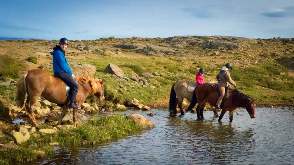 paardrijden IJsland met kinderen