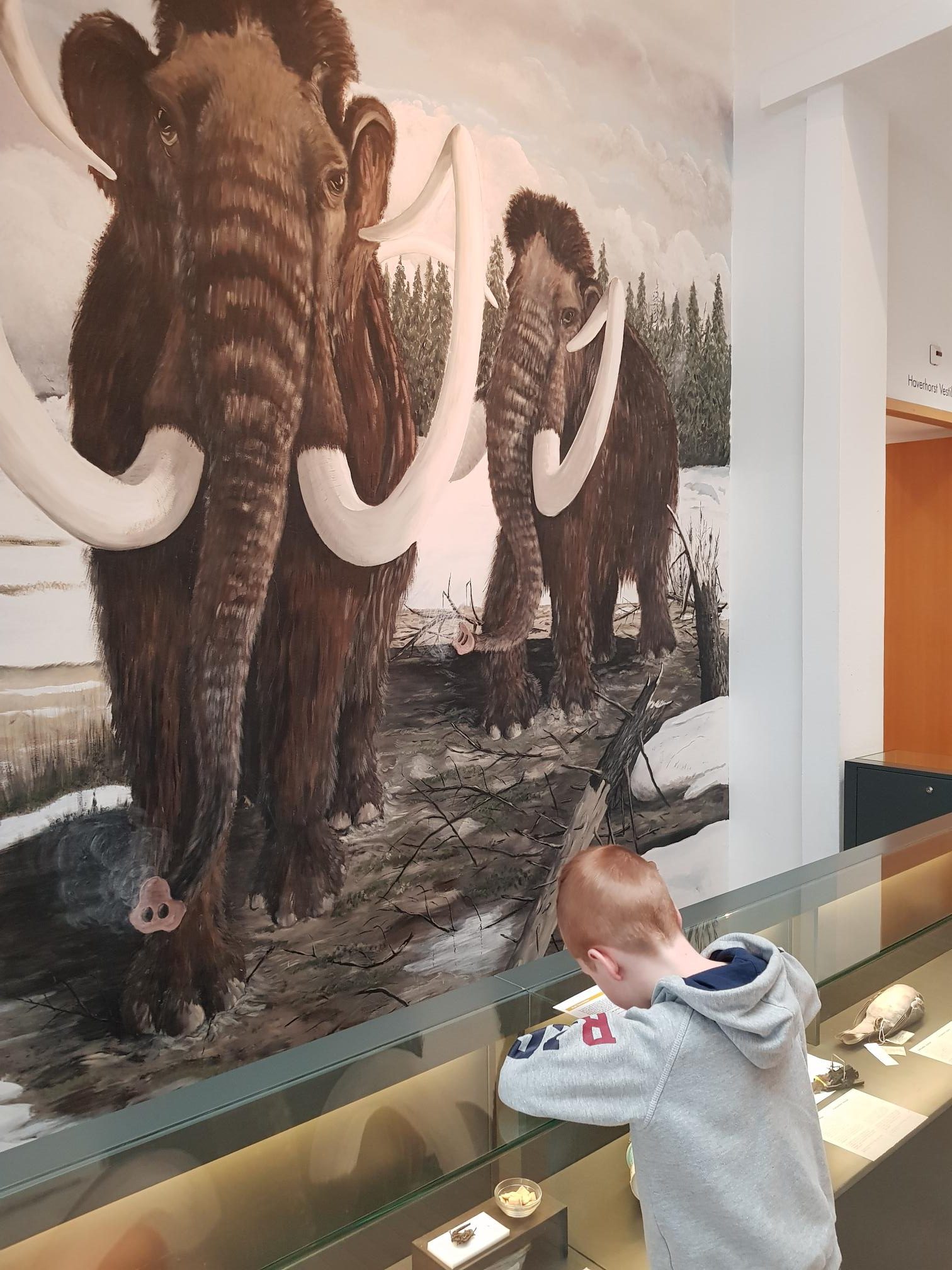 Natuurhistorisch museum met kinderen