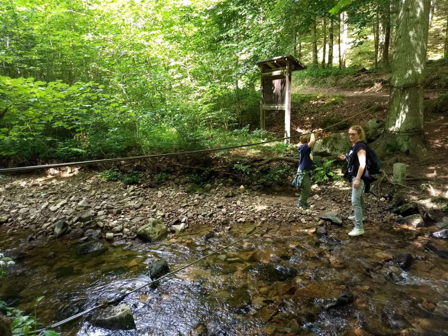Natuurbelevenispad bij Oberholz-Birkendorf - touwbrug