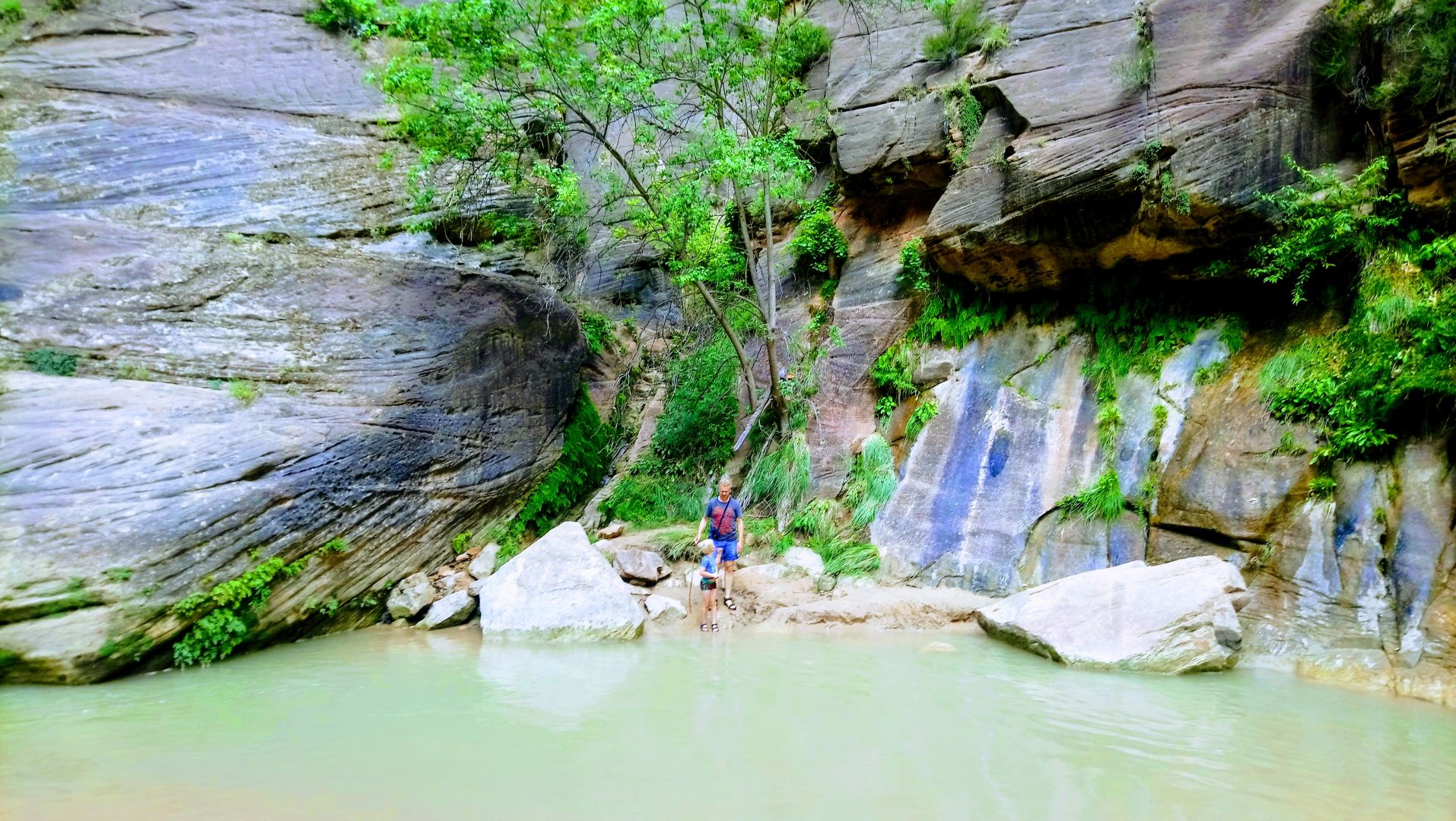 Zion National Park met kinderen