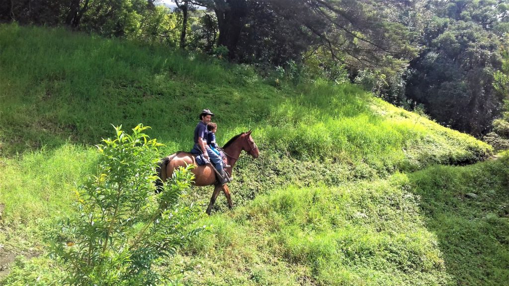 paardrijden Costa Rica met kind