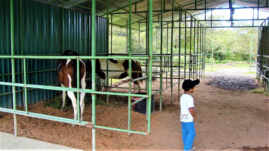 stal rancho