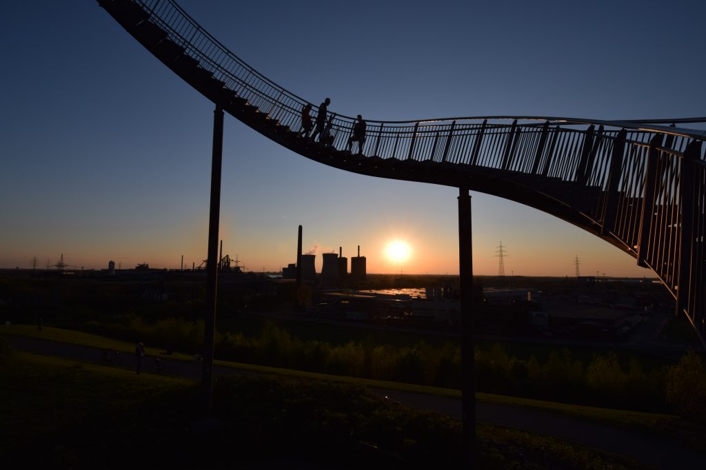 Tiger & Turtle
