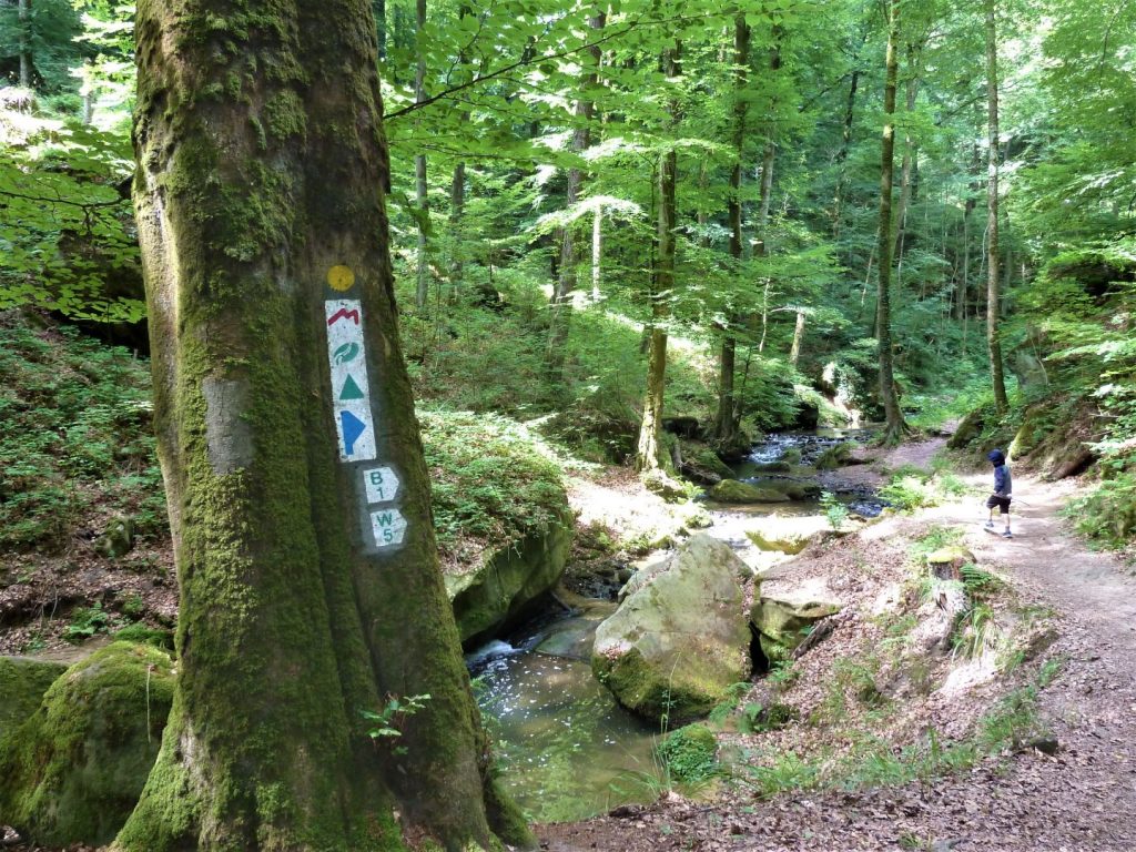 wandelen met kids in Luxemburg