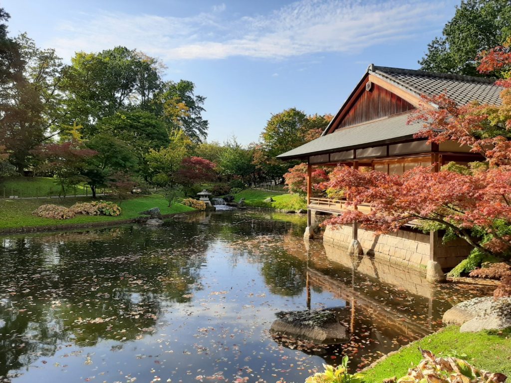 Japanse tuin Hasselt