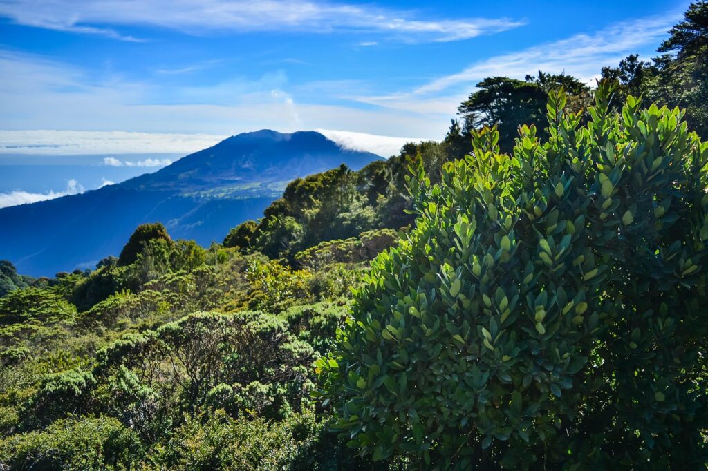 La Fortuna