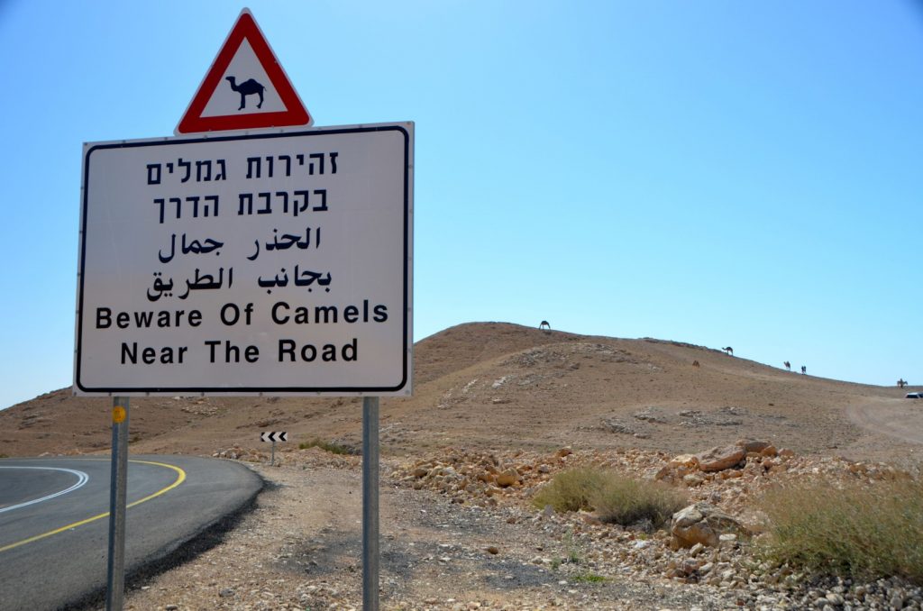 Onderweg in Israel