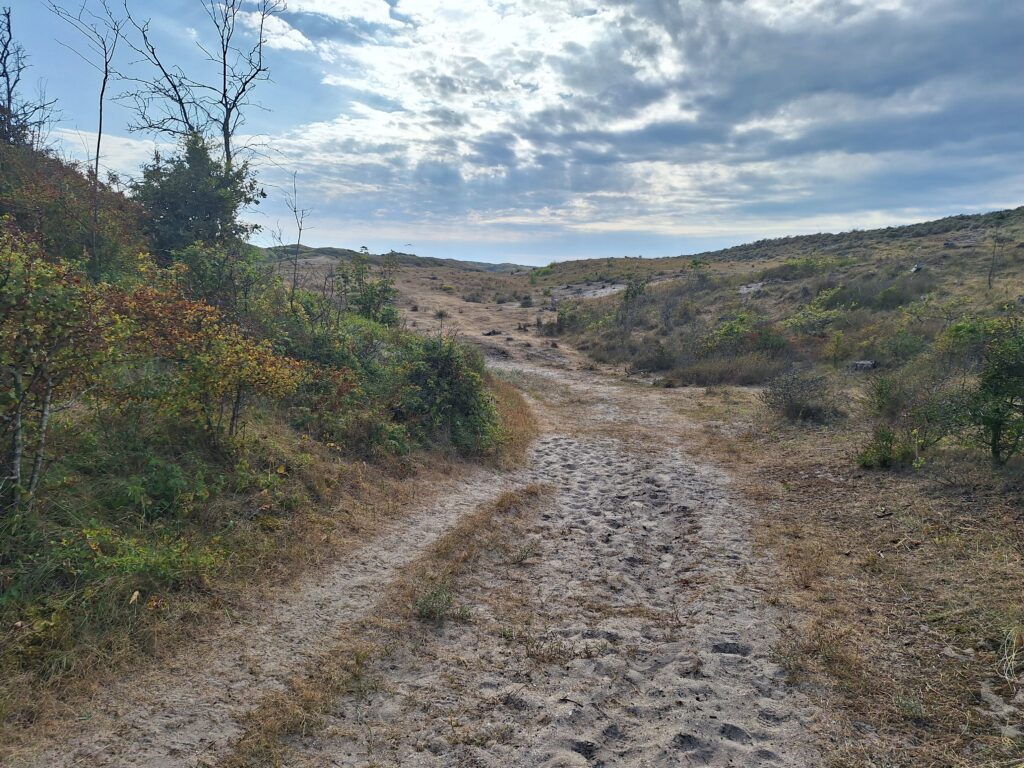 Castricum met kinderen duinen