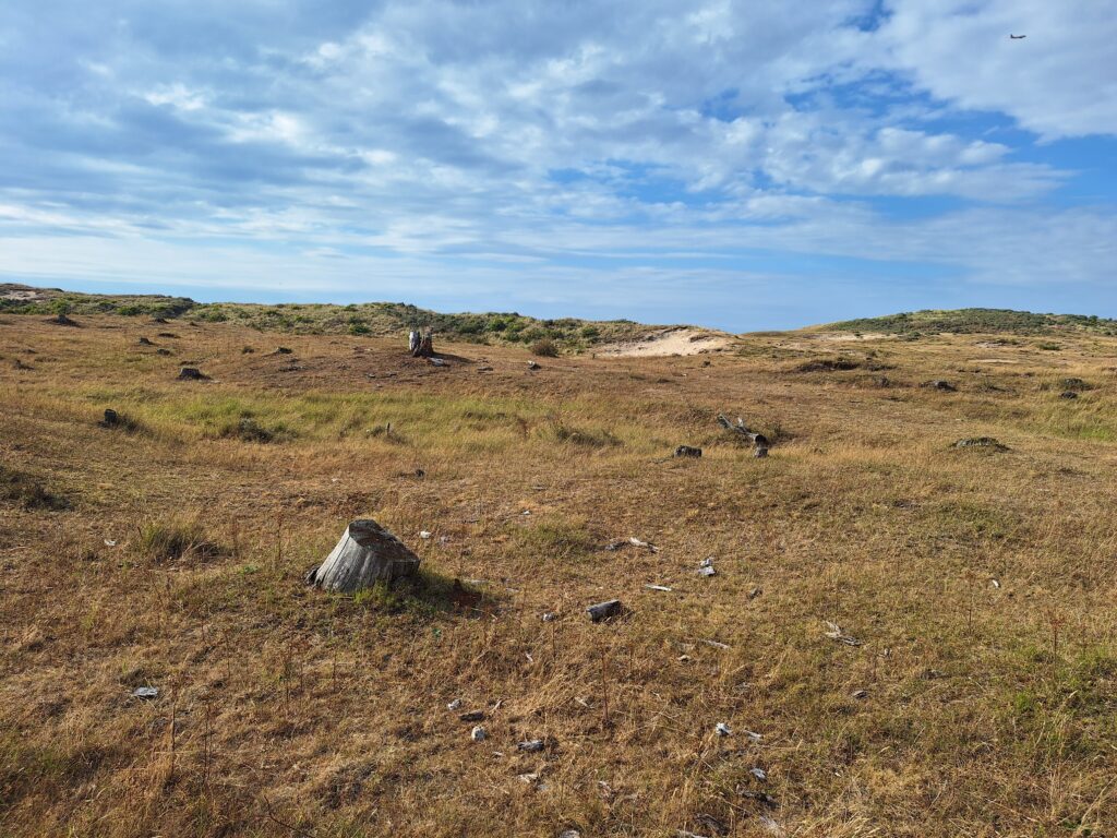 Castricum met kinderen duinen