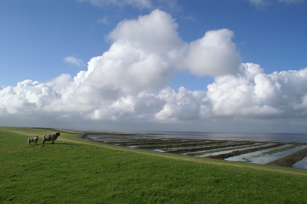 kindvriendelijke uitjes in Friesland