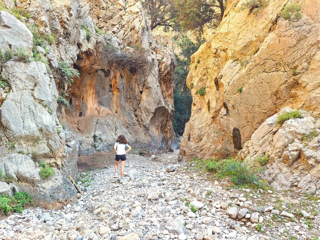 Kritsa kloof
