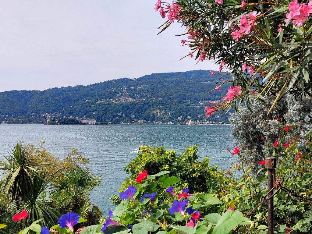bloemen Lago Maggiore
