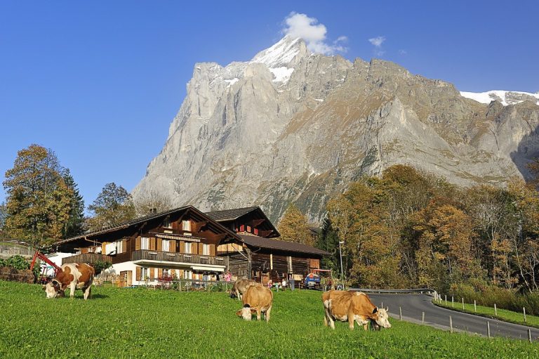 Berner Oberland met kinderen