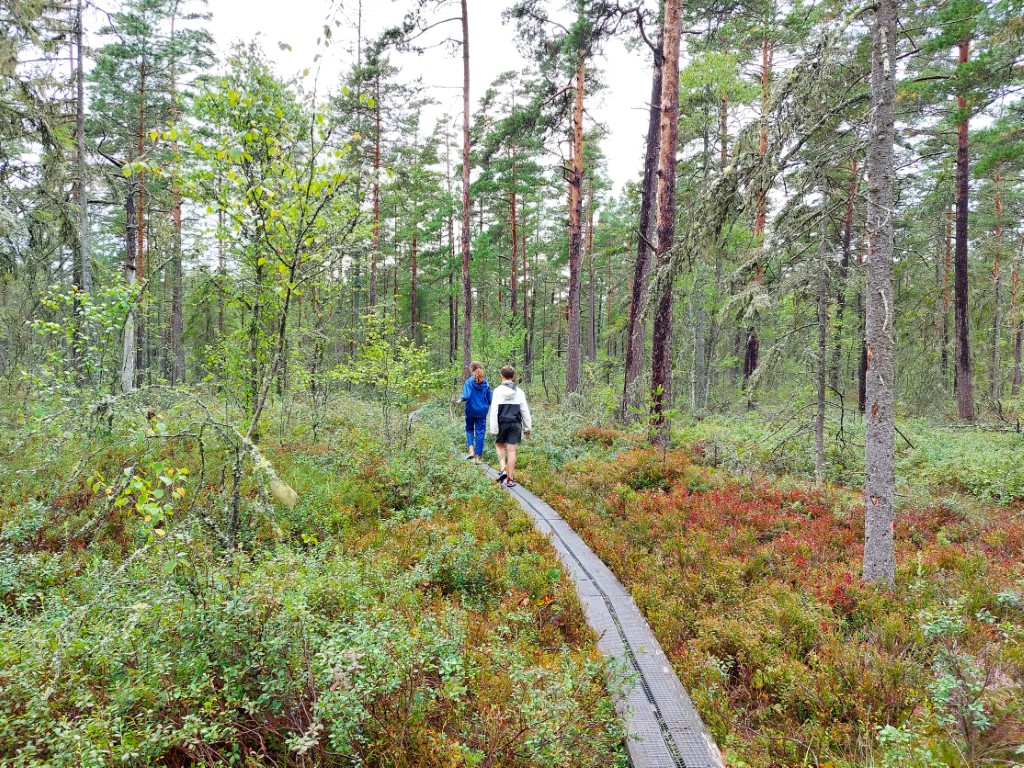 Zweden vakantie met kinderen
