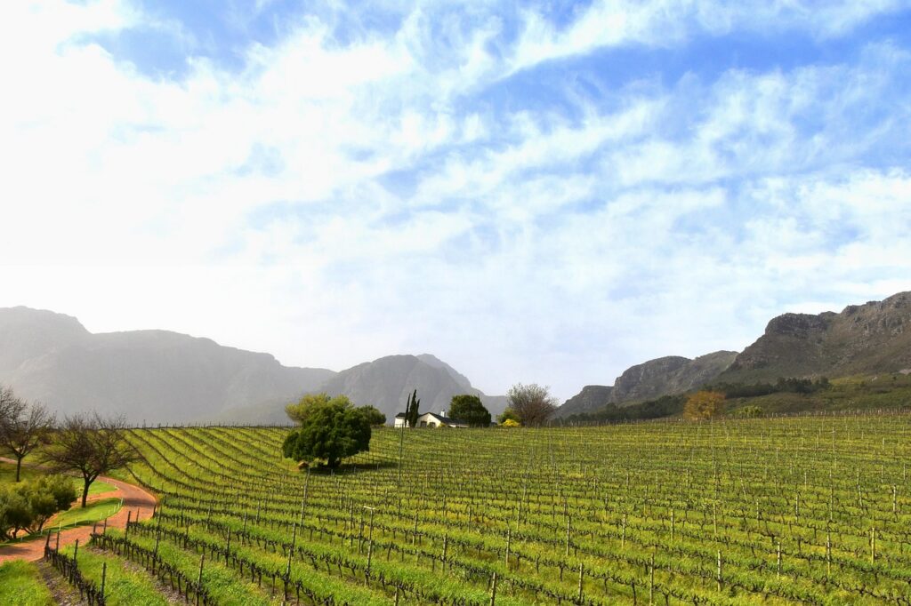 Kaapstad met kinderen