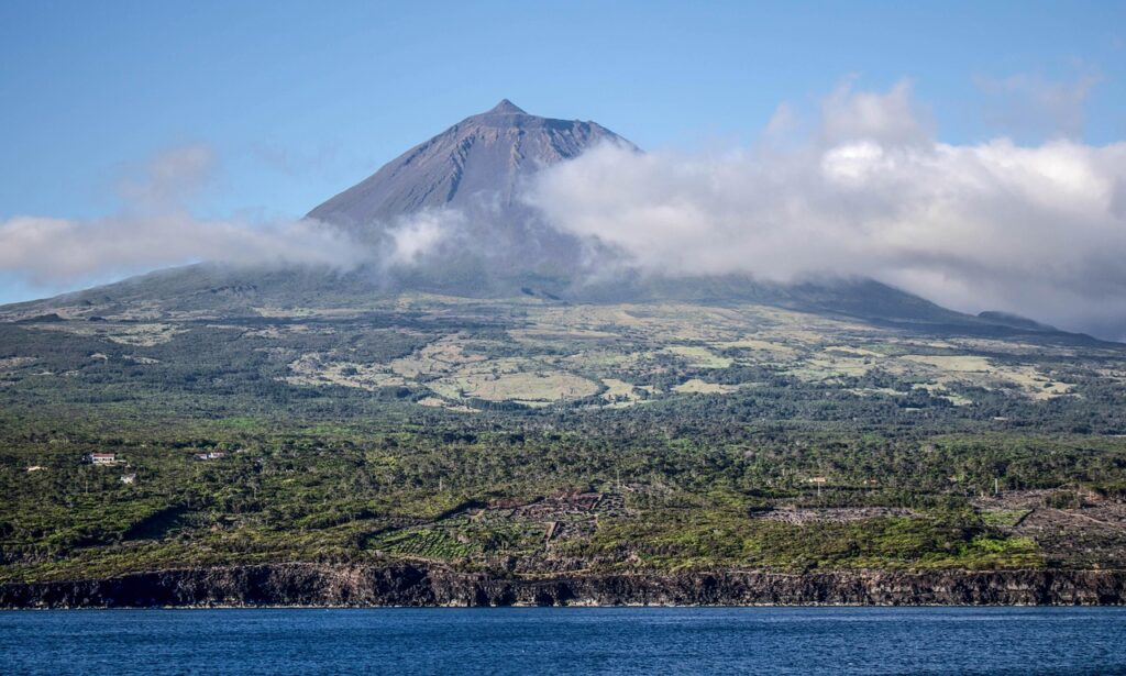 Pico