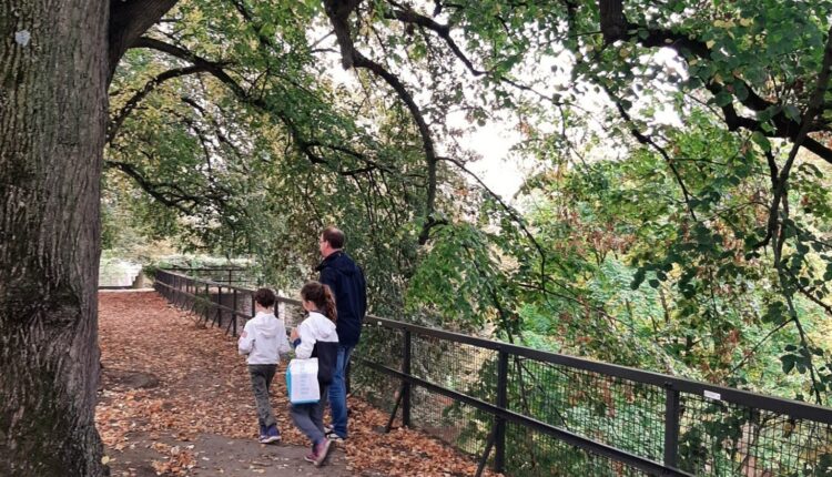 herfst in Nederland