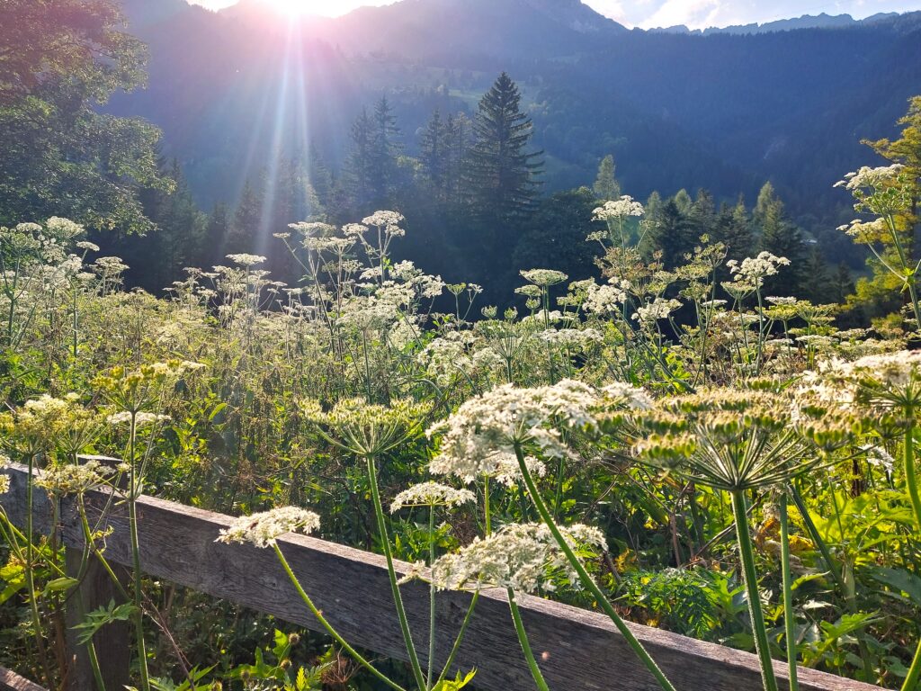 Brandnertal met kinderen