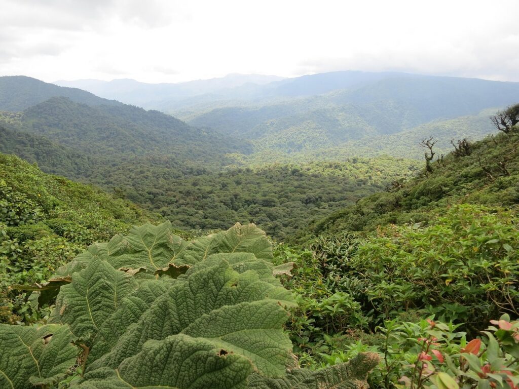 Monteverde met kinderen