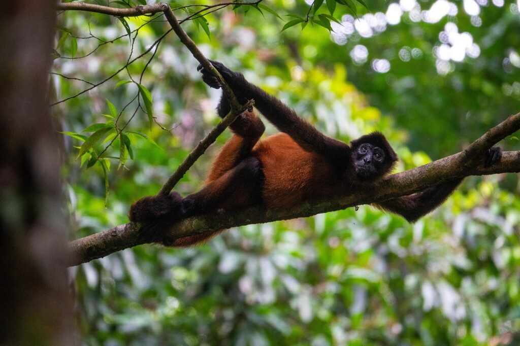 Costa Rica