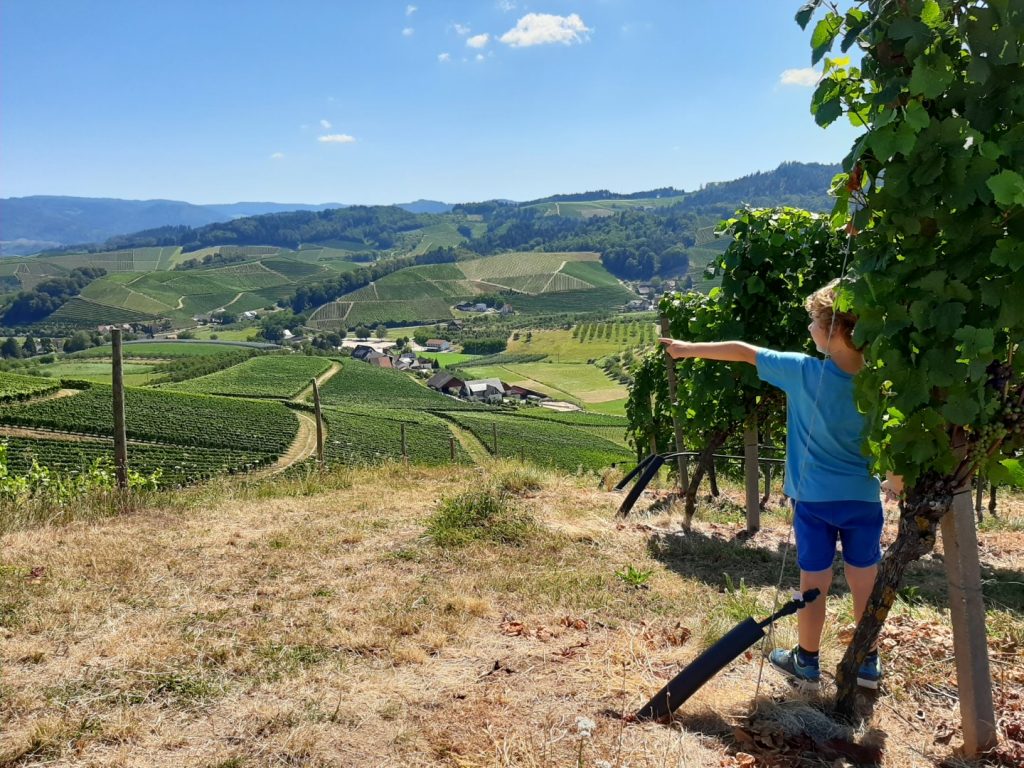 omgeving Offenburg met kinderen