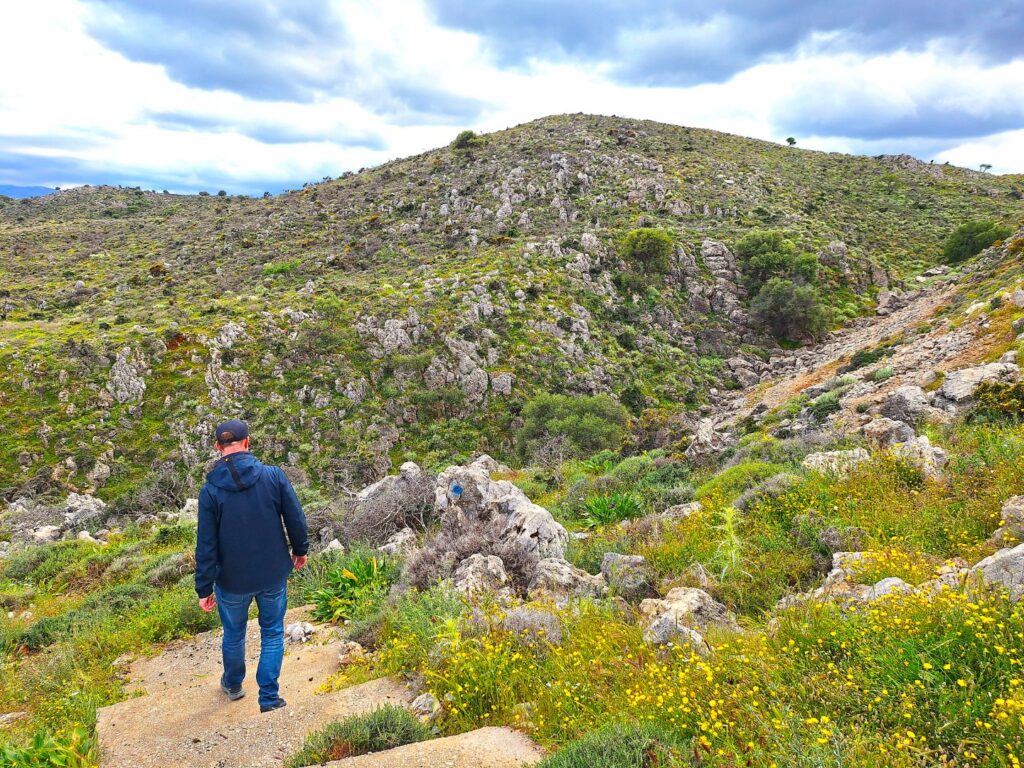 Drapanos